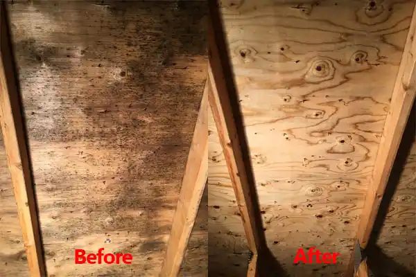 water damage restoration service Balfour
